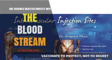 Vaccines: Bloodstream Injections or Not?
