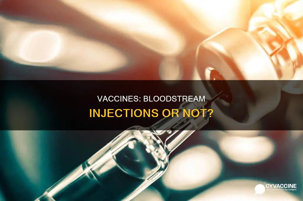 are vaccines injected directly into the blood stream