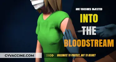 Do Vaccines Enter the Bloodstream? Unraveling the Injection Process