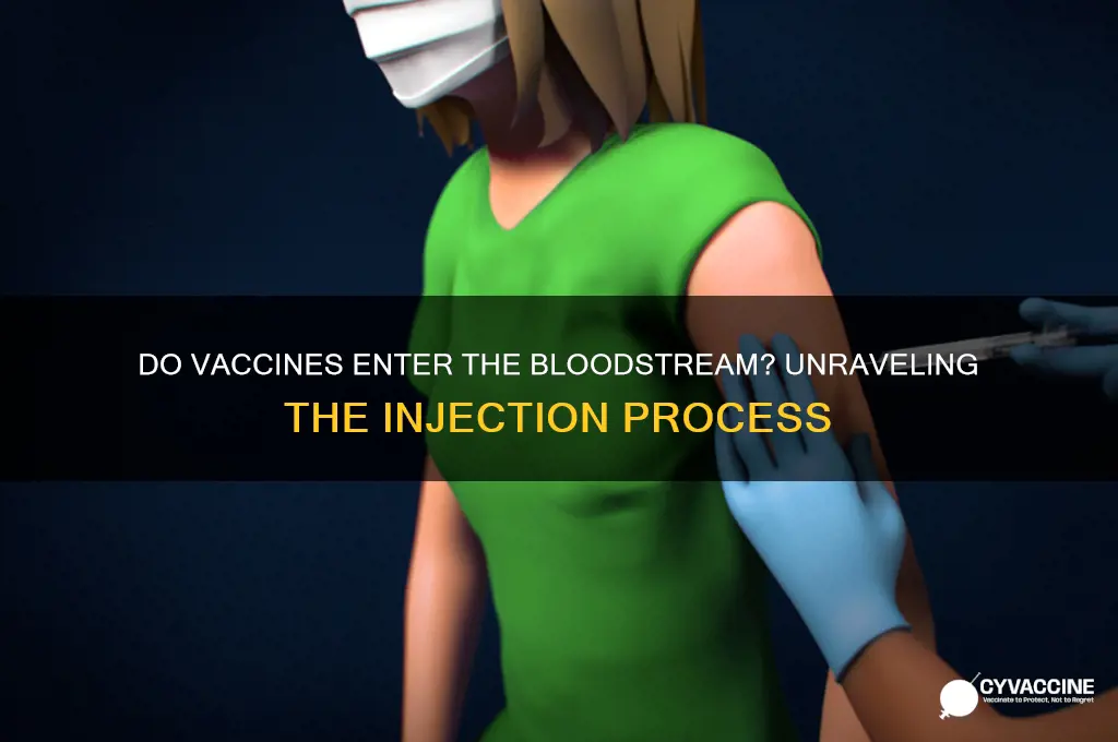 are vaccines injected into the bloodstream