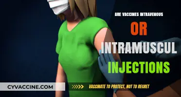 Vaccine Administration: Intravenous vs. Intramuscular Injections Explained