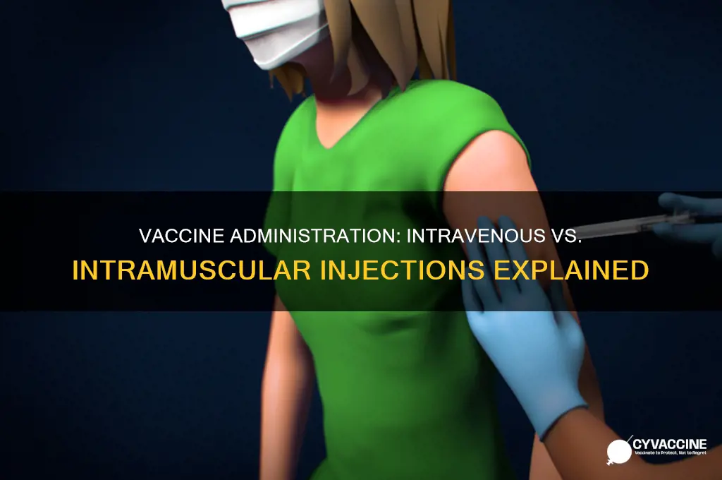 are vaccines intravenous or intramuscular injections