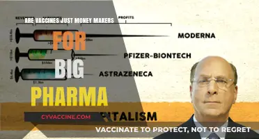 Vaccines: Money-Making Schemes or Lifesaving Innovations?