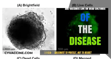Vaccines: Live or Dead Cultures?