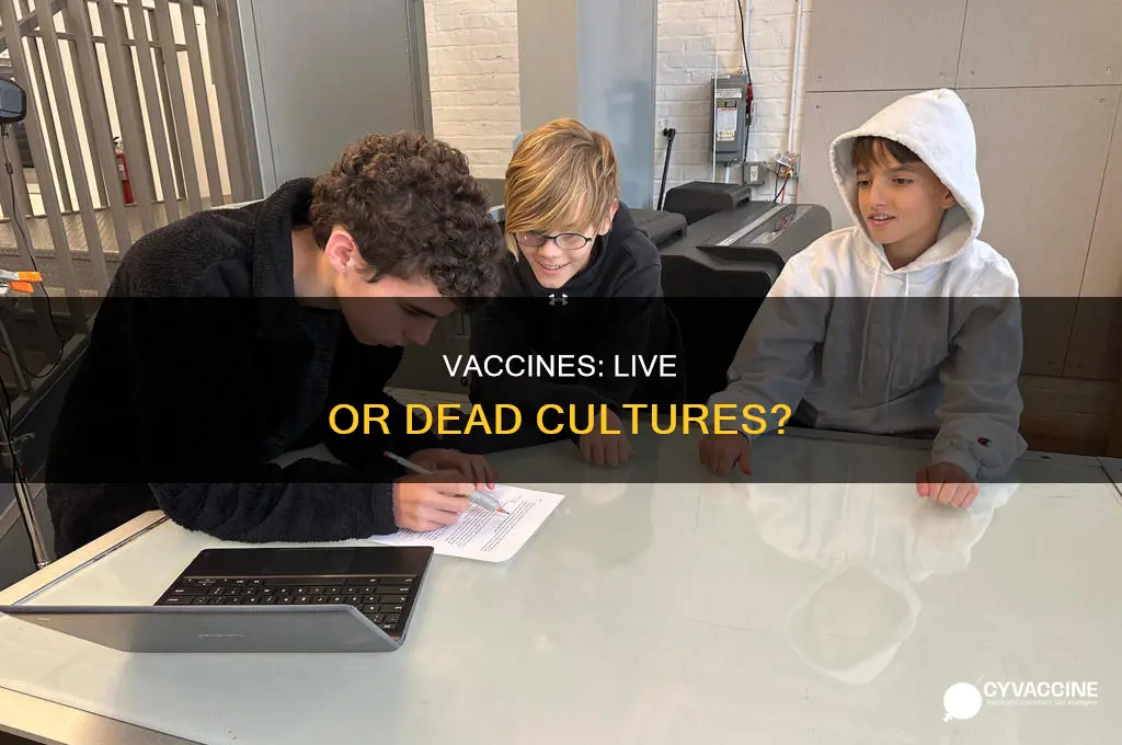 are vaccines live or dead cultures of the disease