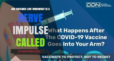 Vaccines, Viruses, and Nerve Impulses: Understanding the Connections