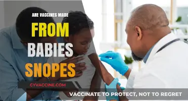 Debunking Myths: Are Vaccines Made from Babies? Snopes Explains