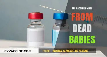 Debunking the Myth: Are Vaccines Made from Dead Babies?