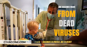 Are Vaccines Made from Dead Viruses? Unraveling the Science Behind Immunization
