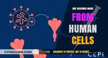 Are Vaccines Made from Human Cells? Unraveling the Science Behind Immunizations