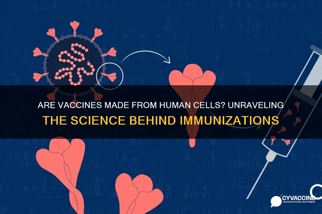are vaccines made from human cells