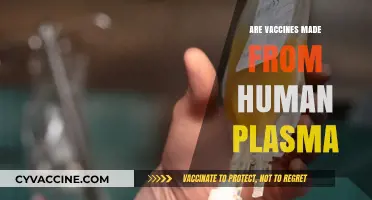 Are Vaccines Made from Human Plasma? Unraveling the Truth
