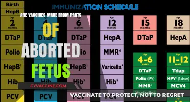 Vaccine Ingredients: Aborted Fetal Cells?