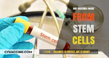 Are Vaccines Made from Stem Cells? Unraveling the Science and Facts