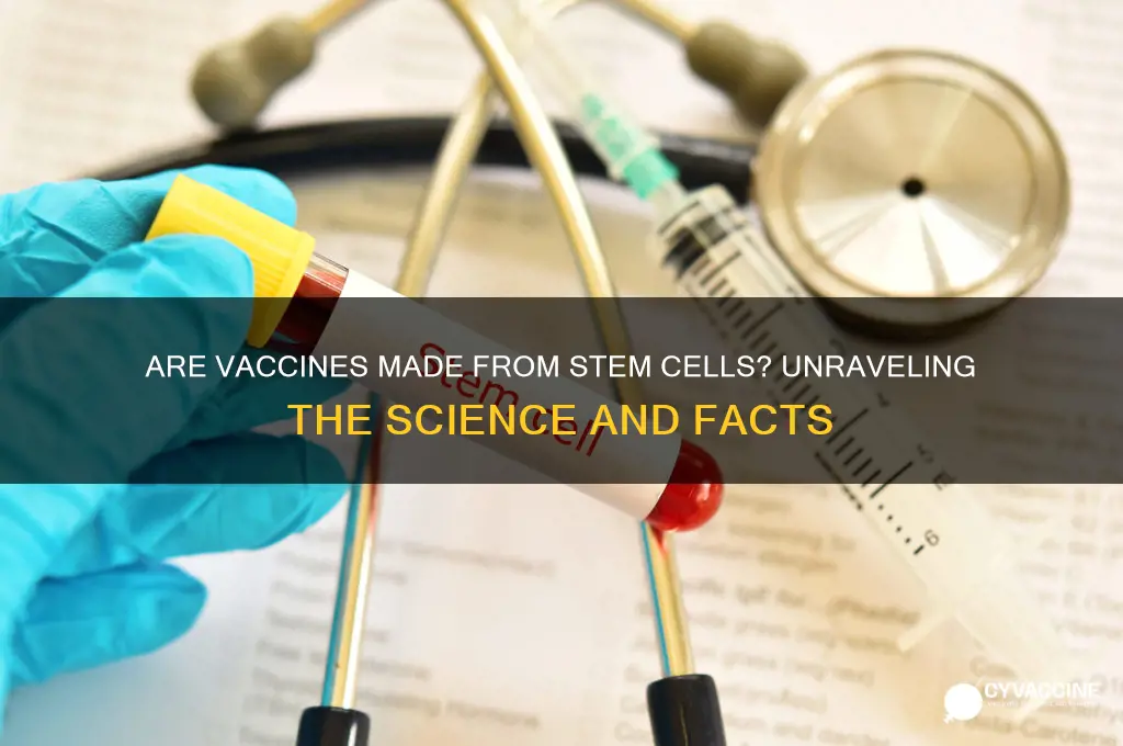 are vaccines made from stem cells