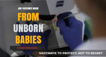 Unborn Babies and Vaccines: Separating Fact from Fiction
