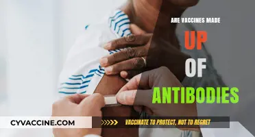 Are Vaccines Antibodies? Debunking Myths About Vaccine Composition