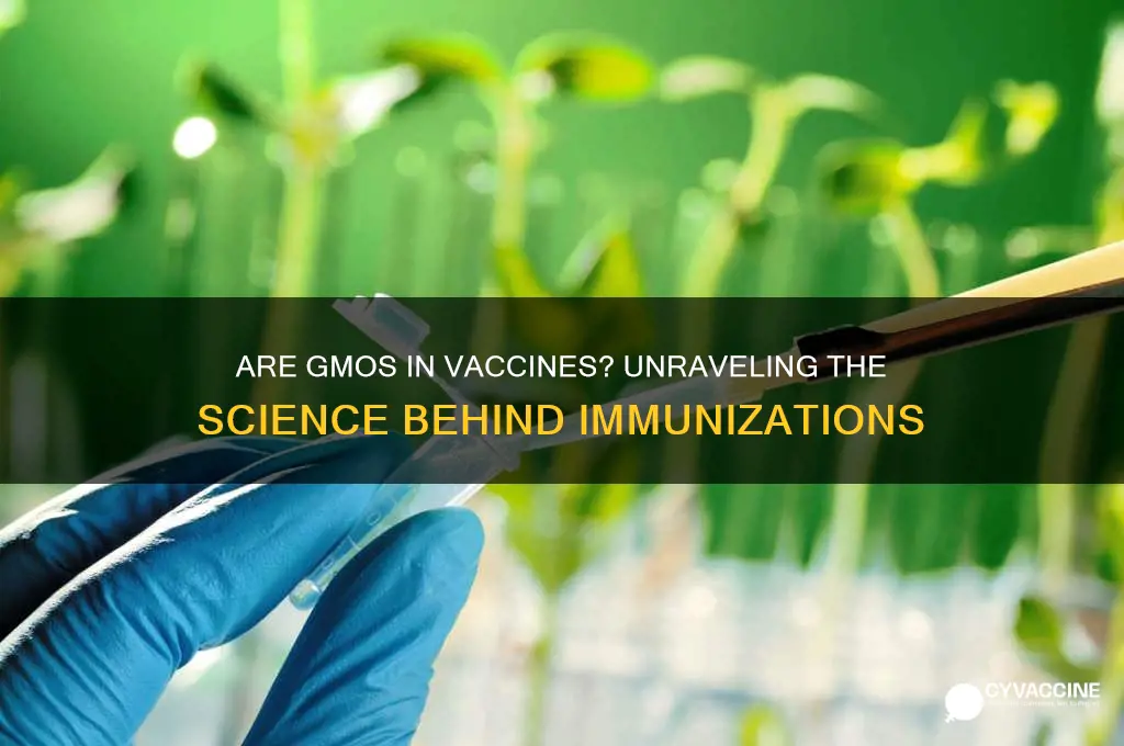are vaccines made with gmo