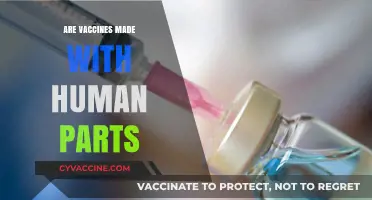 Are Vaccines Made with Human Parts? Debunking Myths and Misconceptions