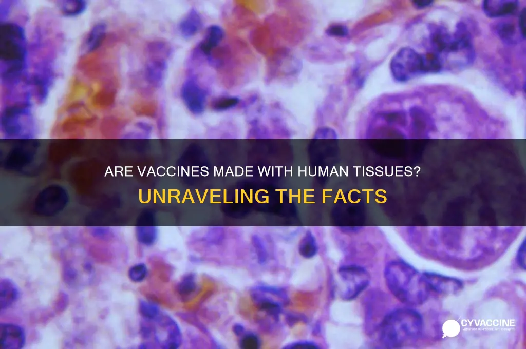 are vaccines made with human tissues