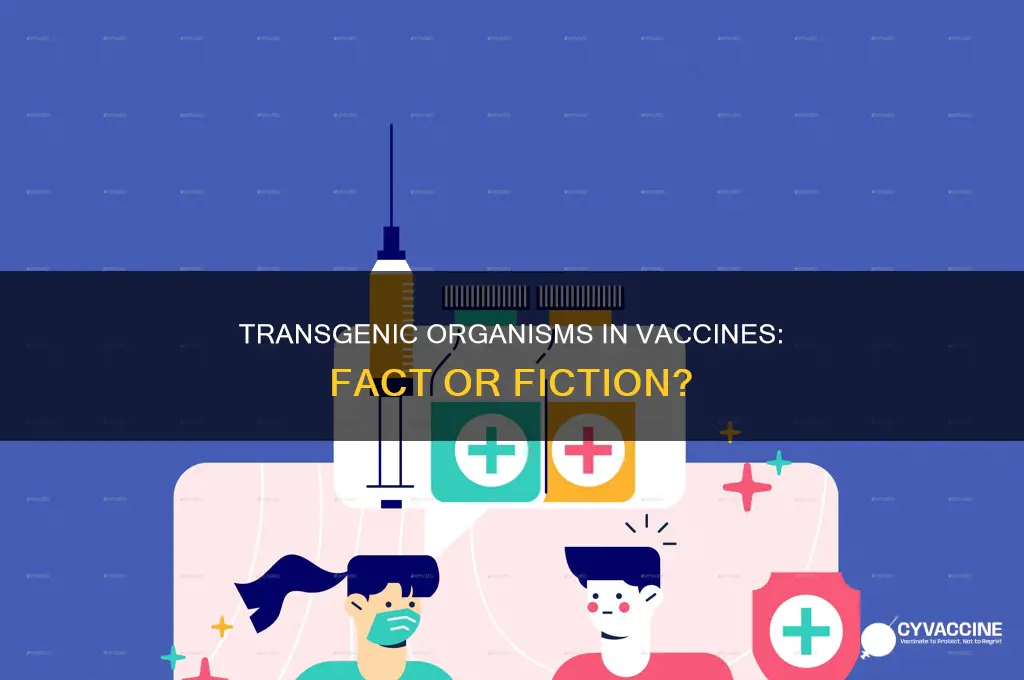 are vaccines made with transgenic organisms