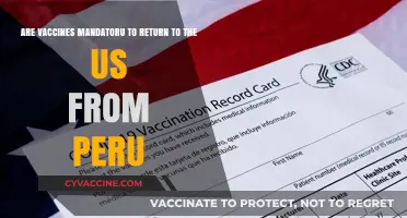 Vaccine Requirements for US Re-entry from Peru