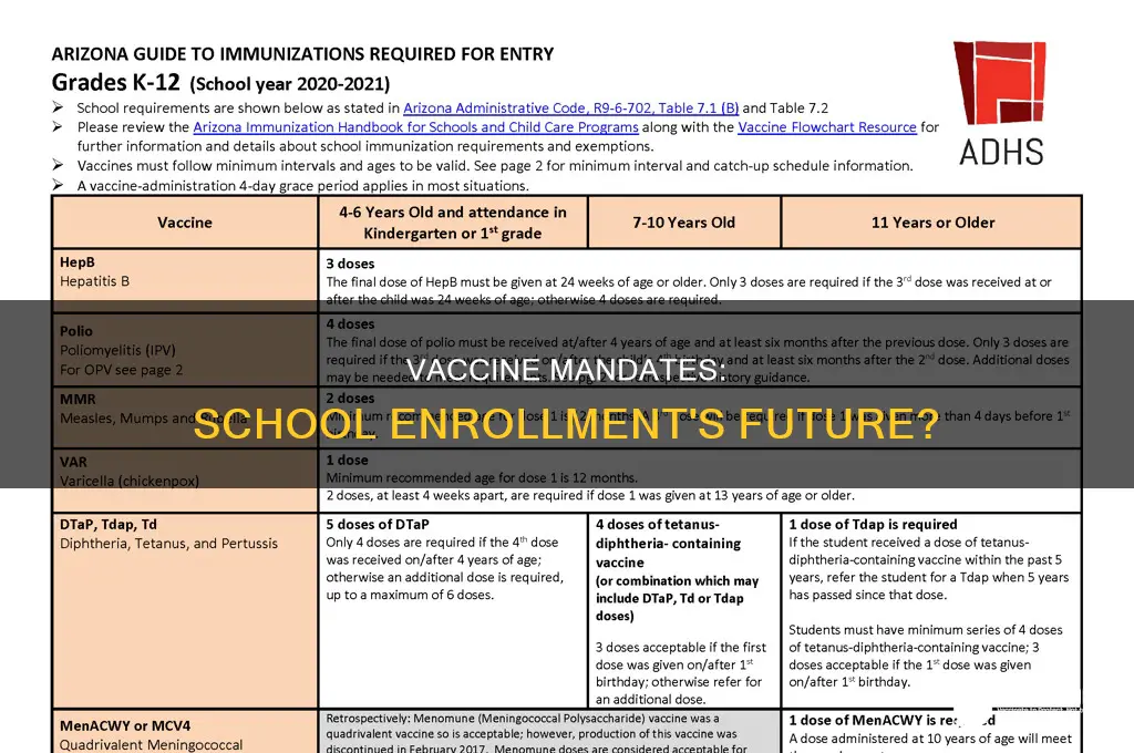 are vaccines mandatory at a federal level for schools