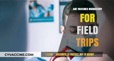 Are Vaccines Mandatory for Field Trips? What Parents Need to Know