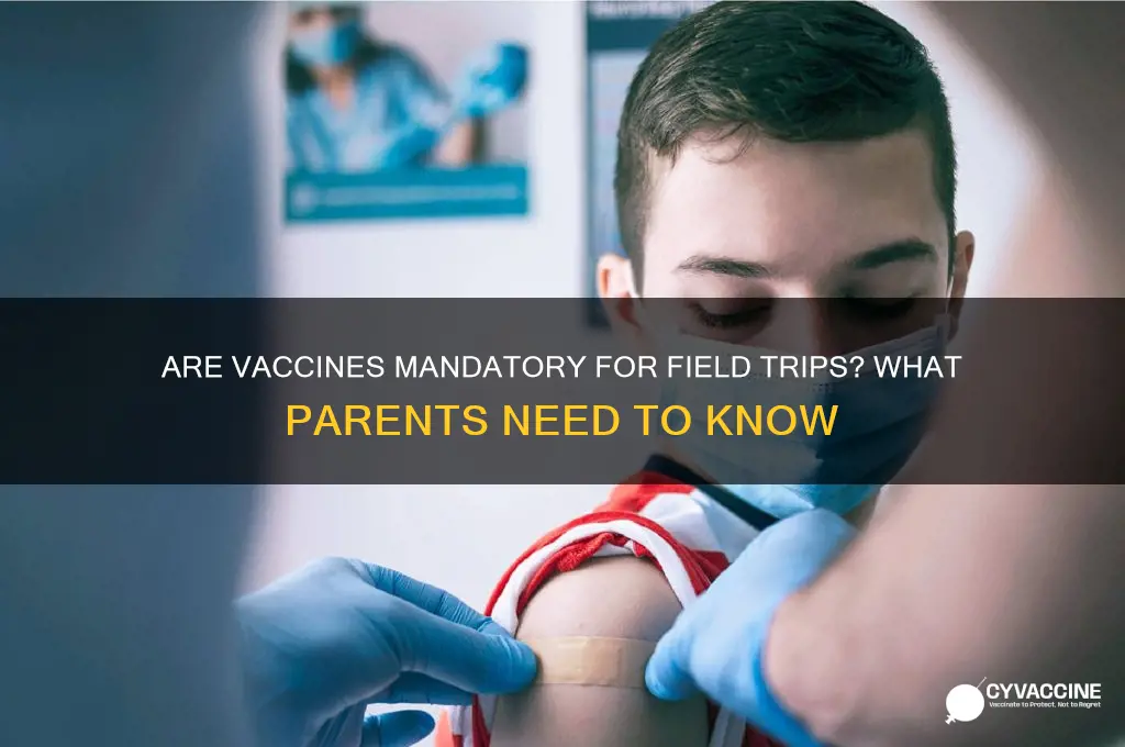 are vaccines mandatory for field trips