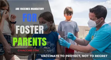 Vaccine Requirements for Foster Parents: Mandatory or Optional?