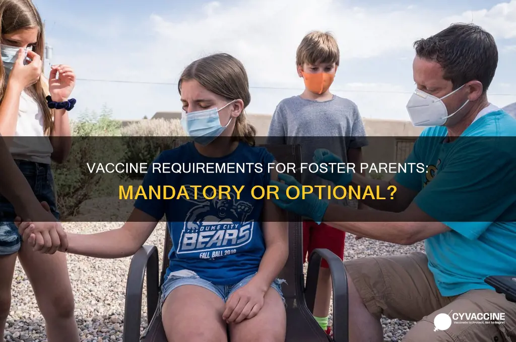 are vaccines mandatory for foster parents