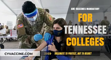 Are Vaccines Mandatory for Tennessee Colleges? What Students Need to Know