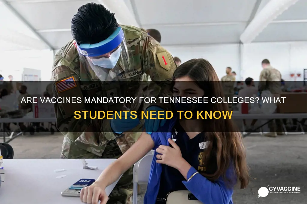 are vaccines mandatory for tennessee colleges