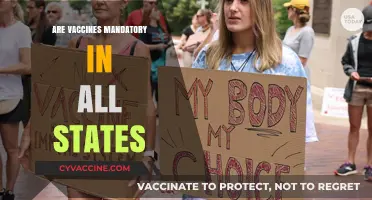 Are Vaccines Mandatory? Exploring State-by-State Requirements and Policies