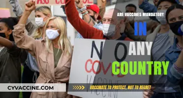 Are Vaccines Mandatory? Global Policies and Legal Requirements Explained