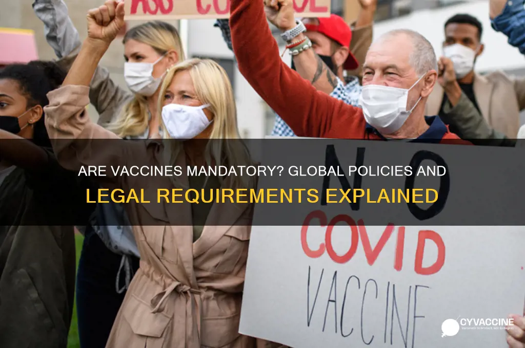 are vaccines mandatory in any country