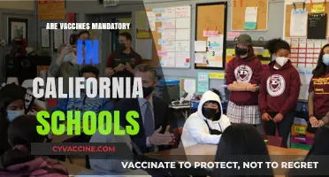 Are Vaccines Mandatory in California Schools? What Parents Need to Know