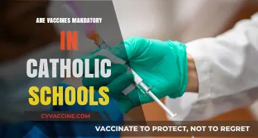 Are Vaccines Mandatory in Catholic Schools? Exploring Policies and Beliefs