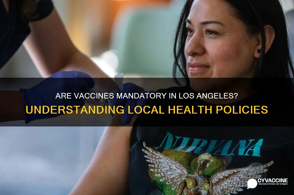 are vaccines mandatory in los angeles