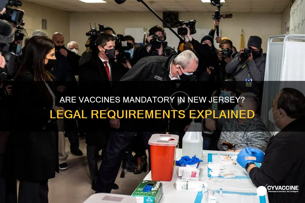 are vaccines mandatory in new jersey