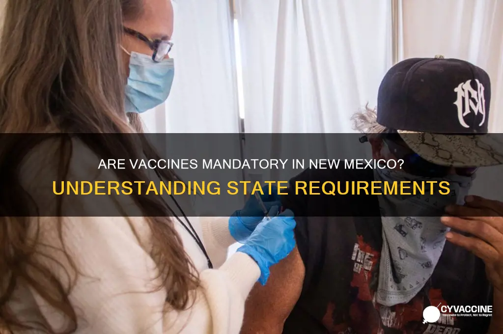 are vaccines mandatory in new mexico