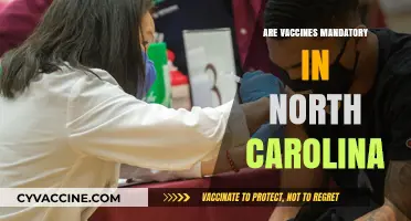 Are Vaccines Mandatory in North Carolina? Legal Insights and Requirements