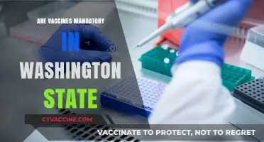 Are Vaccines Mandatory in Washington State? Legal Requirements Explained