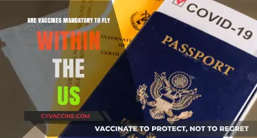 Vaccine Rules for Flying Within the US
