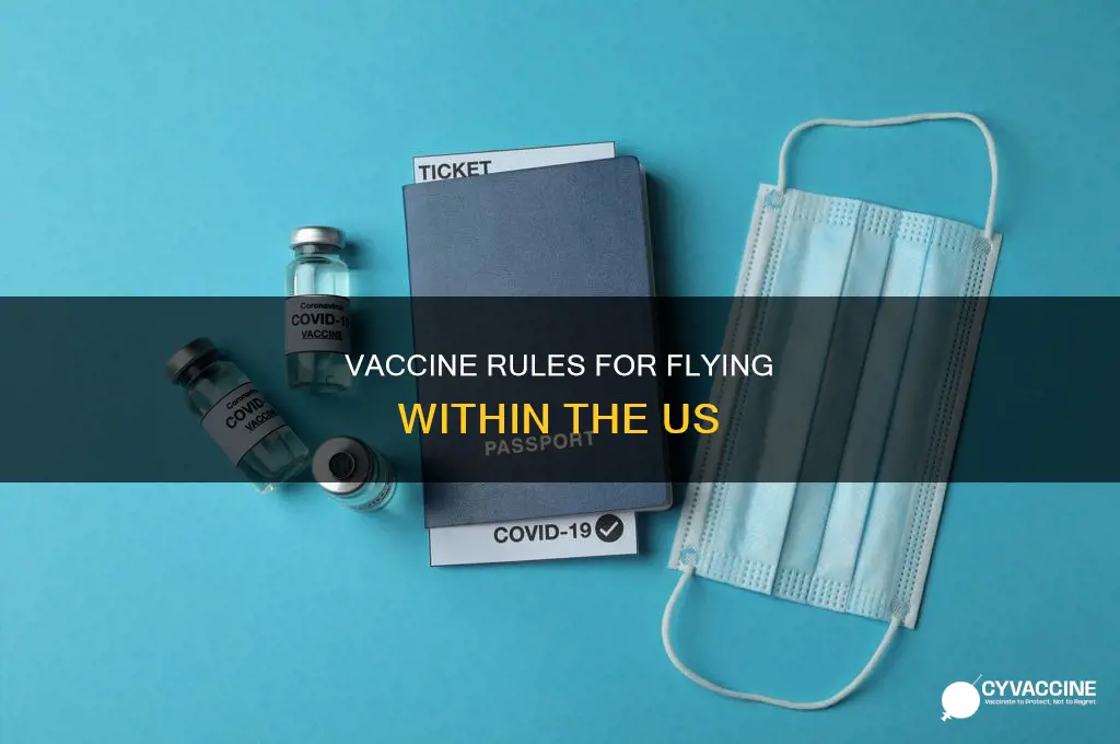are vaccines mandatory to fly within the us