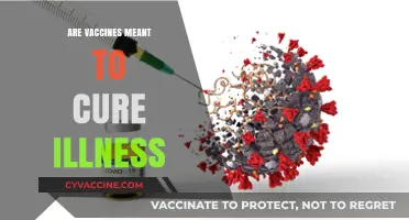 Vaccines: Prevention Tools, Not Cures for Illnesses – Understanding Their Role