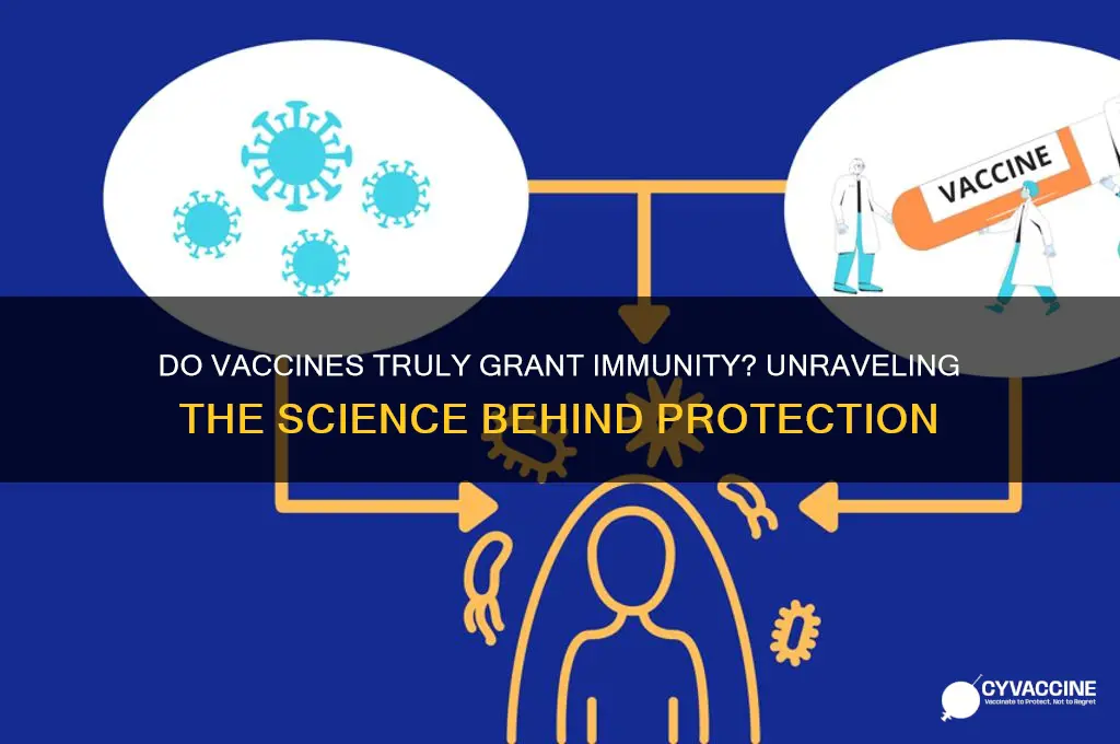 are vaccines meant to provide immunity