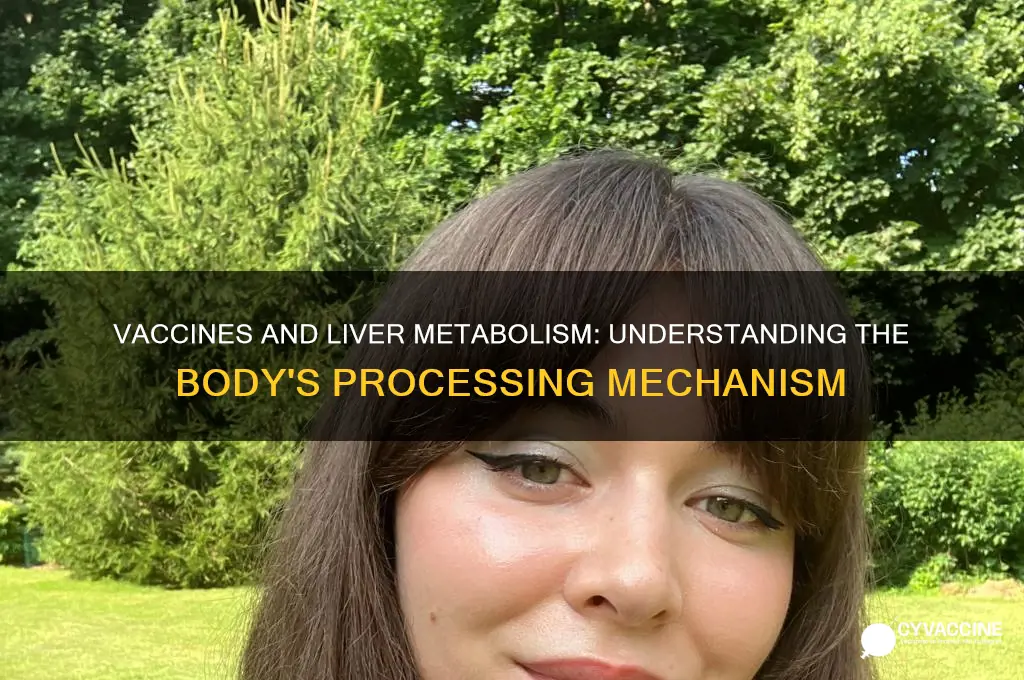 are vaccines metabolized by the liver