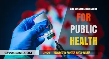 Vaccines: Essential Shield or Optional Choice for Public Health?
