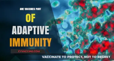 Vaccines and Adaptive Immunity: Understanding Their Role in Protection